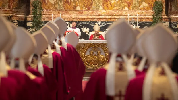 Homily of the Pope at the Mass in Memory of Benedict XVI and Bishops ...