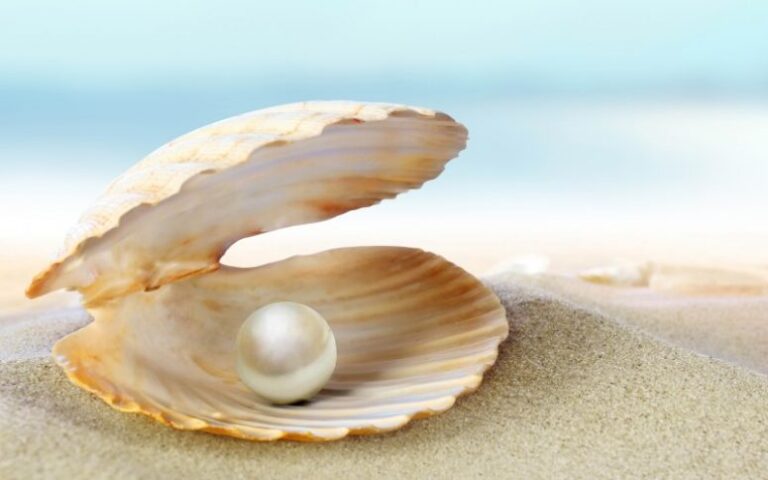 The Divine Pearls of Saint Alphonsa: Day 11