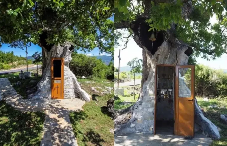 Unique Church Built Inside a Tree in Greece 