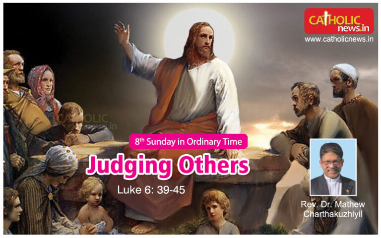 Eighth Sunday in Ordinary Time (Luke 6: 39-45) Judging Others