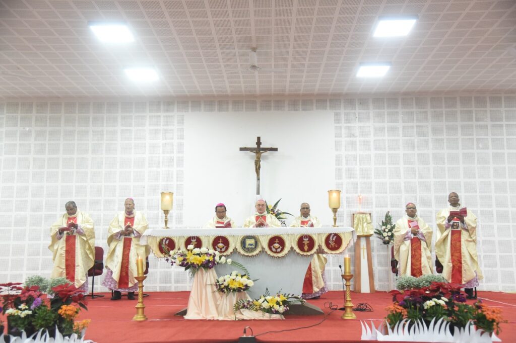 CCBI 34th Plenary Assembly: Bishops reflect on Synodality with ...