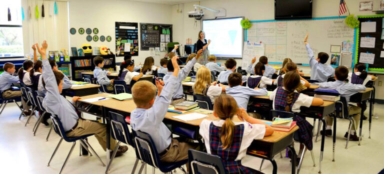 The Basics of Every Catholic Teacher Needs to Know